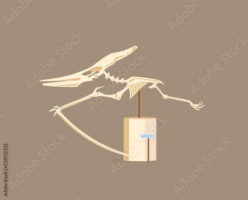 Pterodactyl showcase cartoon vector illustration © The img
