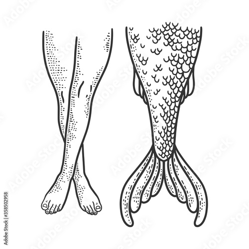 Woman legs and mermaid tail sketch engraving vector illustration. T-shirt apparel print design. Scratch board imitation. Black and white hand drawn image.