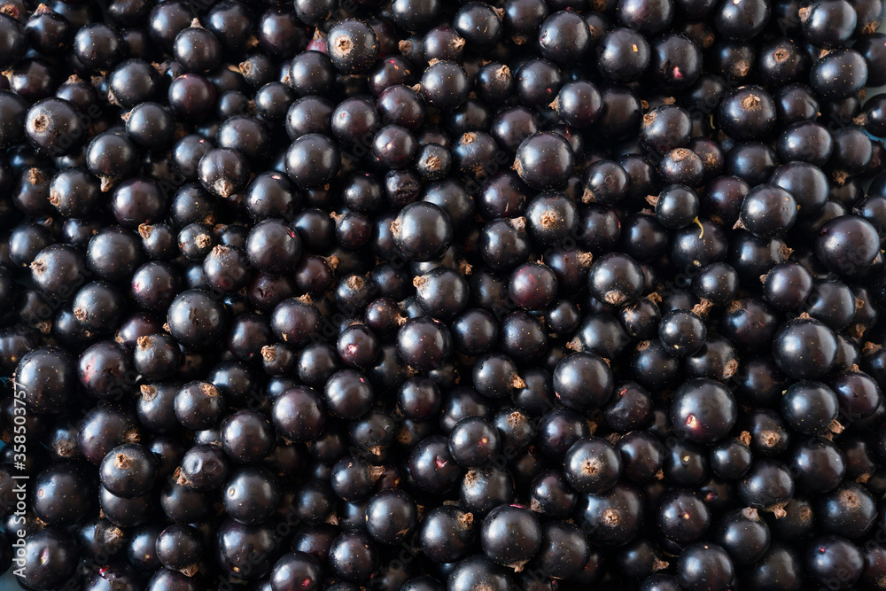 Background of black currants. Fresh berries closeup. Top view. Background of fresh berries. Various fresh summer fruits. Background of blackcurrants. Antiviral treatment. Coronavirus prevention. Background of black currants. Fresh berries closeup. Top view. Background of fresh berries. Various fresh summer fruits. Background of blackcurrants. Antiviral treatment. Coronavirus prevention.