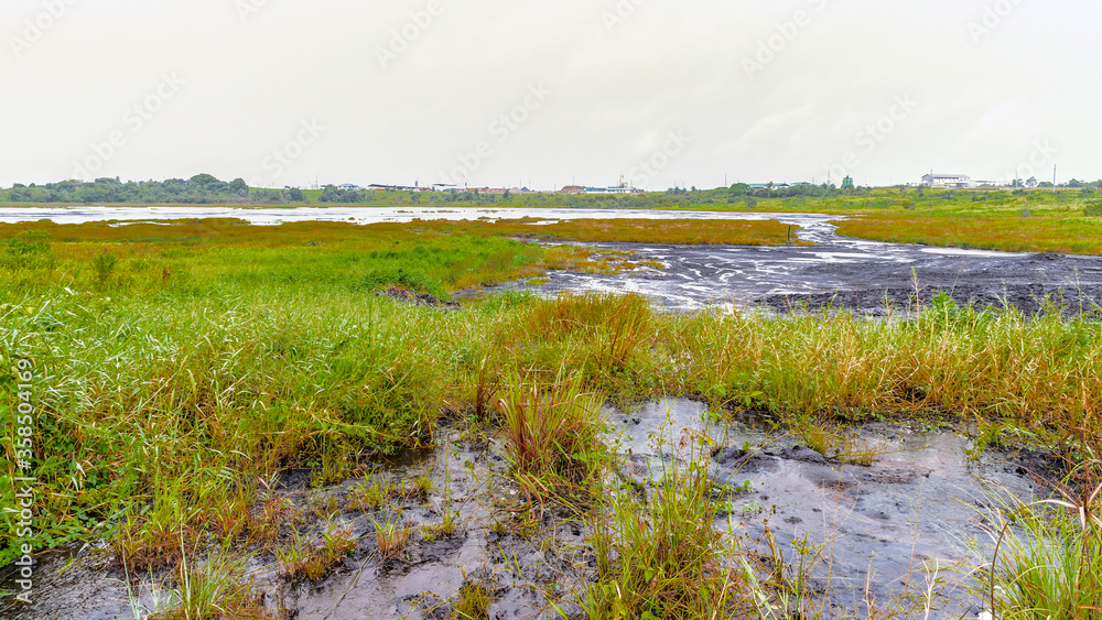 It's View of the Pitch Lake, the largest natural deposit of asphalt in the world, La Brea, Trinidad and Tobago. It is reported to be 75 m deep.