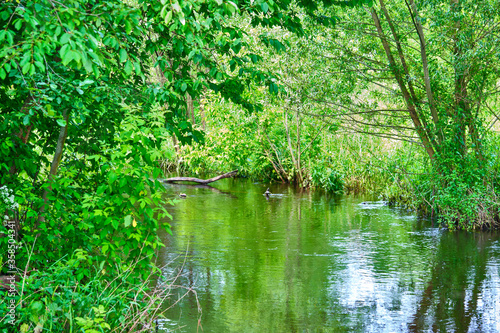 Fototapeta Naklejka Na Ścianę i Meble -  beautiful river in the countryside general plan color
