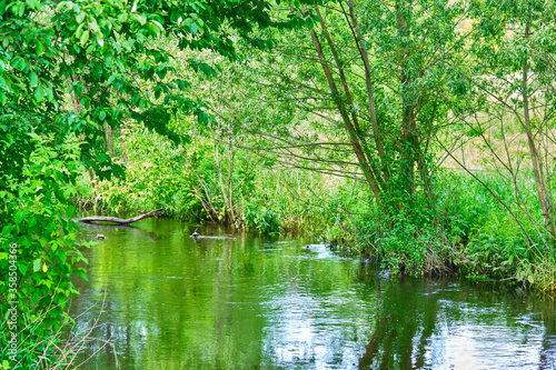 beautiful river in the countryside general plan color