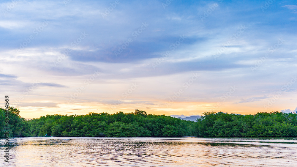 It's Mangrove lake in Trinidad and Tobago, South America