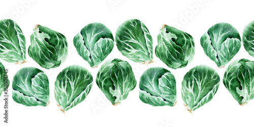 Watercolor seamless border with different types of cabbage. Brussels sprouts, broccoli and Kale photo