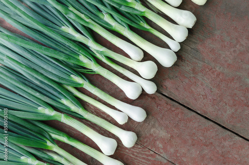 Spring fresh onion on wood background