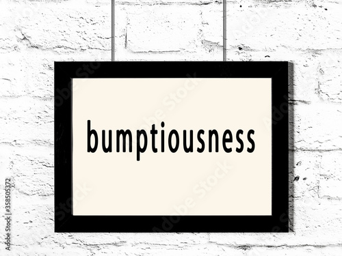 Black frame hanging on white brick wall with inscription bumptiousness photo