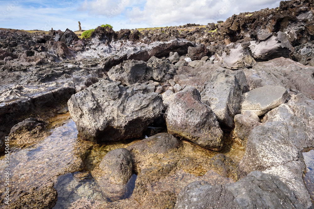 It's Nature of the Easter island It's Nature of the Easter island