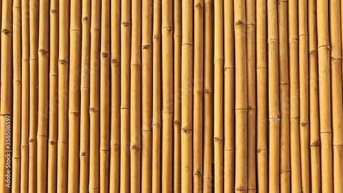 Fototapeta Naklejka Na Ścianę i Meble -  Yellow bamboo fence background panorama.