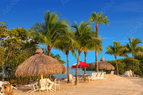 Tropical beach with beach chairs under umbrellas in morning in Key Largo, Florida