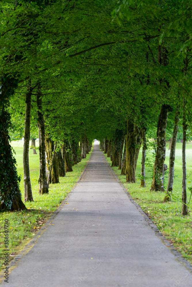 Brdo protocolar botanic garden in Slovenia Brdo protocolar botanic garden in Slovenia
