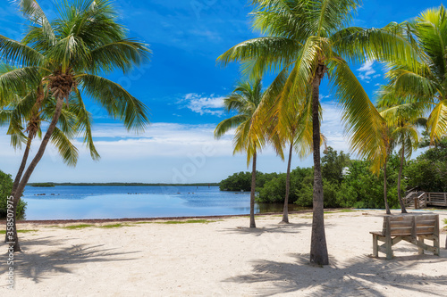 Fototapeta Naklejka Na Ścianę i Meble -  Palm trees on a tropical beach with bench in shadow in Florida Keys.