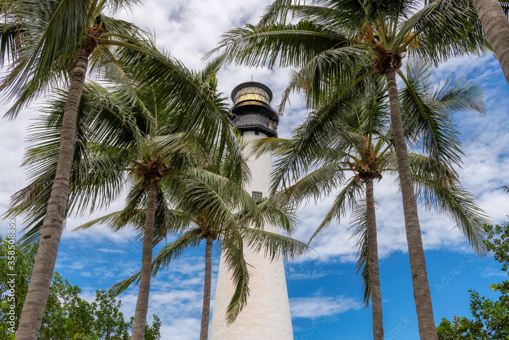 Palm trees around Cape Florida Lighthouse, Key Biscayne, Miami, Florida, USA