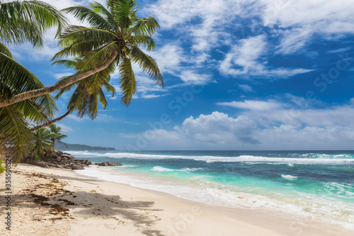 Fototapeta Naklejka Na Ścianę i Meble -  Tropical sunny beach with palm trees and turquoise sea in Paradise island. Summer vacation and tropical beach concept.