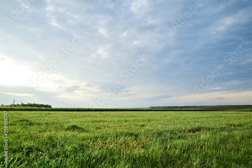 Beautiful field landscape. Countryside village rural natural background at sunny weather in spring summer. Green grass and blue sky with clouds before rain.Nature protection concept.