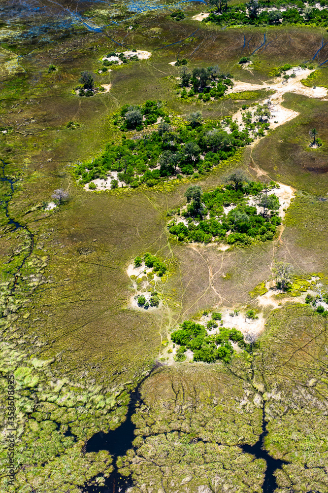 It's Aerial panoramic view of the Okavango Delta (Okavango Grassland), One of the Seven Natural Wonders of Africa, Botswana