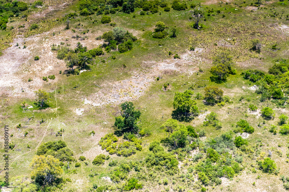 It's Okavango Delta (Okavango Grassland), One of the Seven Natural Wonders of Africa, Botswana