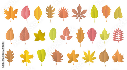 Vector set. Autumn leaves of different shapes and colors.