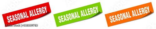 seasonal allergy sticker. seasonal allergy square isolated sign. seasonal allergy label