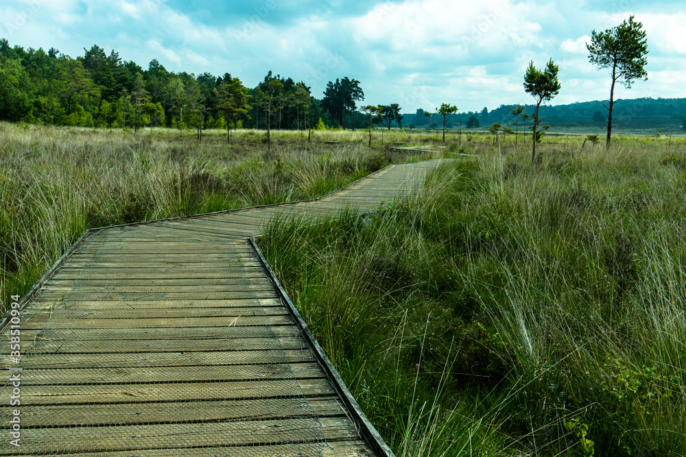 Obraz premium View along the boardwalk.
