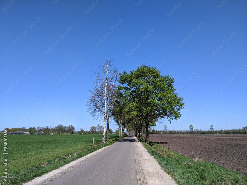 Road through farmland around Halle during spring