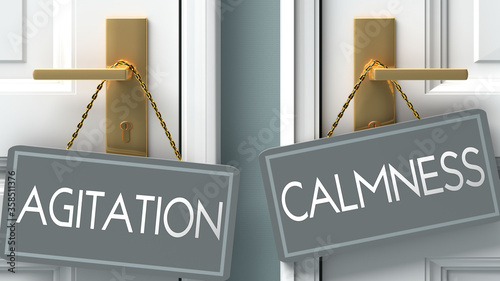 calmness or agitation as a choice in life - pictured as words agitation, calmness on doors to show that agitation and calmness are different options to choose from, 3d illustration