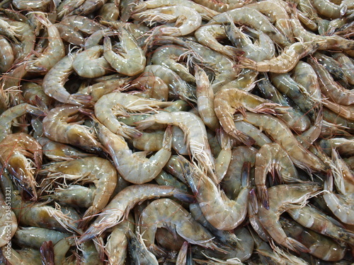 Fresh shrimp in closeup.Tiger prawn (Penaeus monodon), Giant Tiger Prawn. Raw shrimp sold at local seafood market in Chon Buri, Thailand. Selective focus