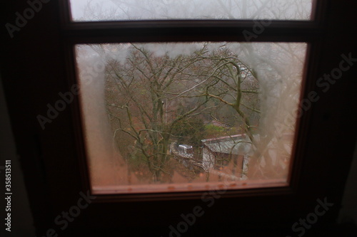 forest view through fogged window