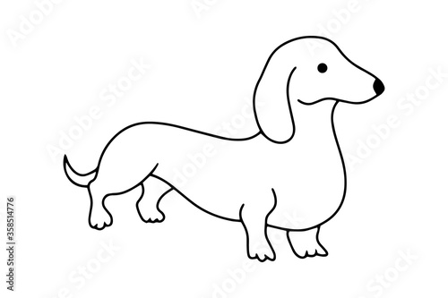 Doodle dachshund icon isolated on white. Hand drawing line art. Sketch dog. Coloring page book zoo. Outline vector stock illustration. EPS 10