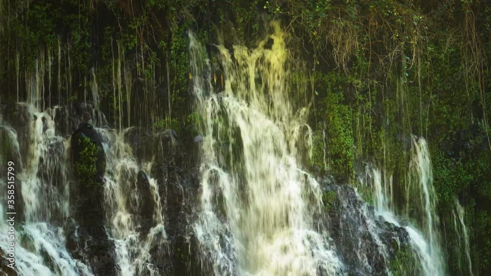Idyllic waterfalls appearing out of the lush green cliffs at Burney Falls Idyllic waterfalls appearing out of the lush green cliffs at Burney Falls