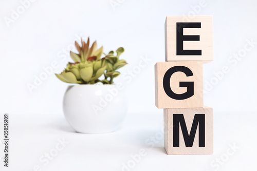 Wooden cube block with alphabet connects the abbreviation of the word EGM on a white background. On a plant background EGM extraordinary general meeting acronym Business concept. photo
