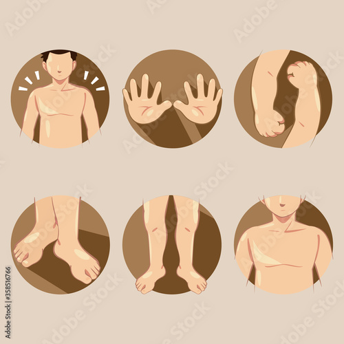 parts of the body for teaching. Body details. The diagram shows the various externalities. parts of the body. Cartoon vector illustration isolated.