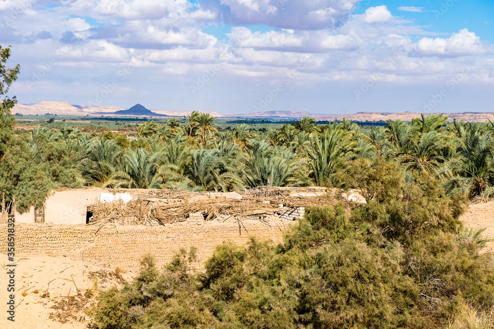 It's Bahariya Oasis, Egypt