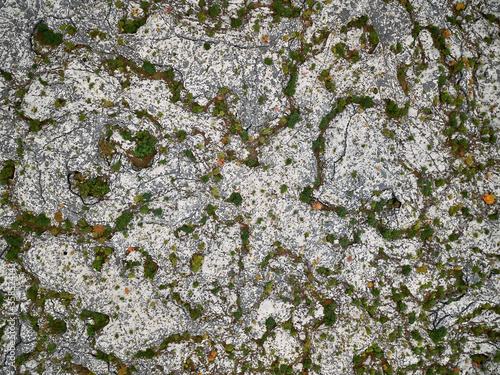 lava field in Iceland, overgrown with moss and dwarf trees. Iceland top view from drone of the Aerial view