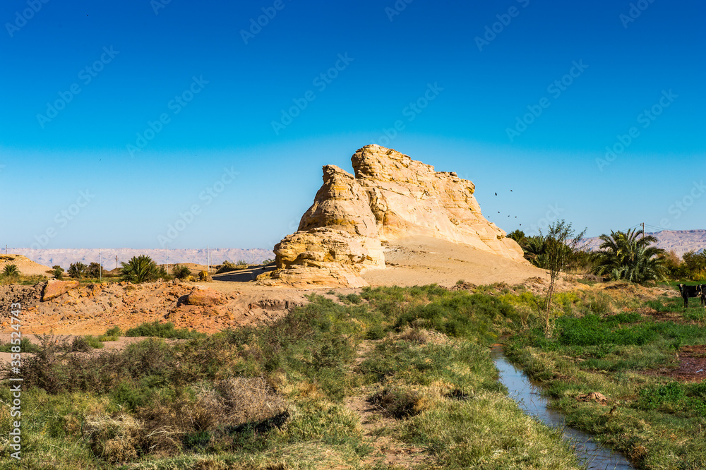 It's Nature in the Dakhla Oasis, Western Desert, Egypt