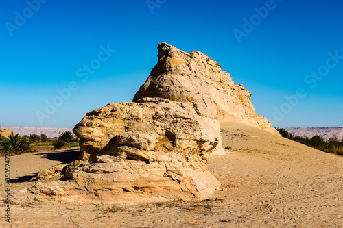It s Nature in the Dakhla Oasis  Western Desert  Egypt