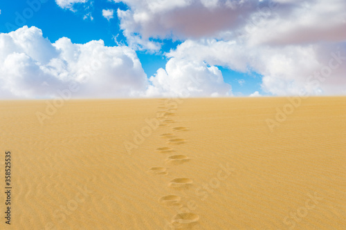 It s Trails on the sand dune in the Sahara desert in Egypt