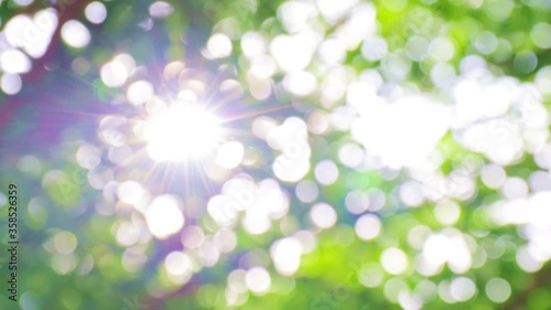 4K UHD Beautiful blur natural green  with Sunlight shining through the leaves of trees, Natural blur background, Abstract nature green bokeh background. leaves moving with the wind.