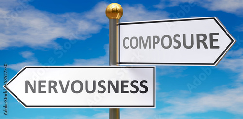 Canvas-taulu Nervousness and composure as different choices in life - pictured as words Nervousness, composure on road signs pointing at opposite ways to show that these are alternative options