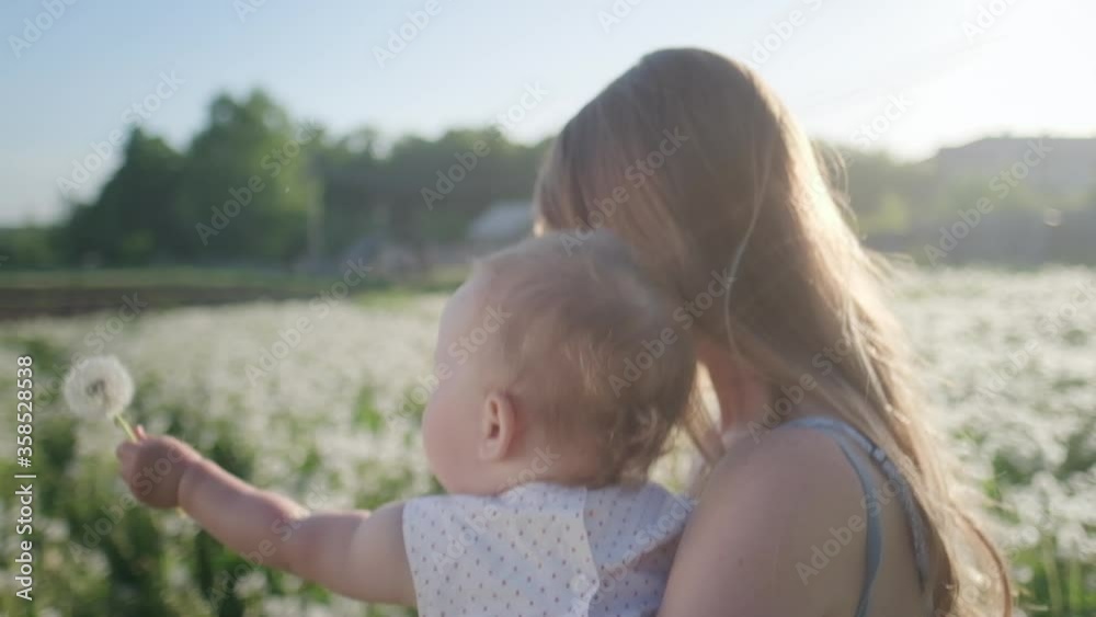 Family in the summer field. Young woman haves fun with her baby in the summer field with dandelions