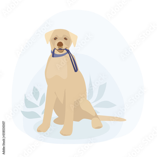 Sitting dog. Labrador. Golden Retriever. Holds a leash in his mouth. Concept in flat cartoon style. Vector illustration.