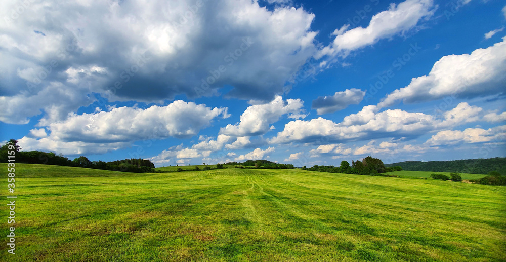 Summer Grass Field Landscape with white clouds in the background.