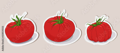 Tomato stickers collection. Ripe red tomato label. Hand drawn colorful badges. Closeup. 