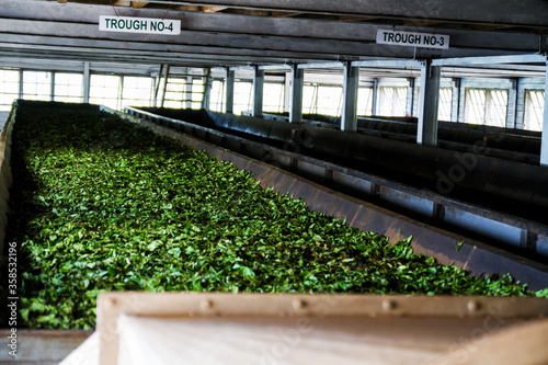 DAMBETHANNA, SRI LANKA-MARCH 23: Tea factory indoor around on March 23, 2013 in Dambethanna, Sri Lanka. Tea in Sri Lanka counts for 12 percent of the GDP, generating roughly 700 million USD annually. photo