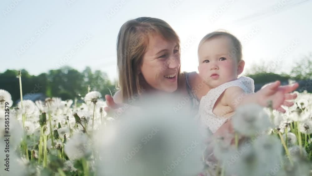 Family in the summer field. Young woman haves fun with her baby in the summer field with dandelions Family in the summer field. Young woman haves fun with her baby in the summer field with dandelions