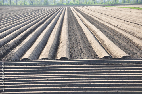 Ackerlandschaft, ein symetrischer Kartoffelacker frisch angelegt für den Kartoffelanbau photo