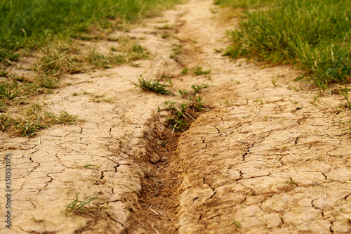 green grass and dry soil