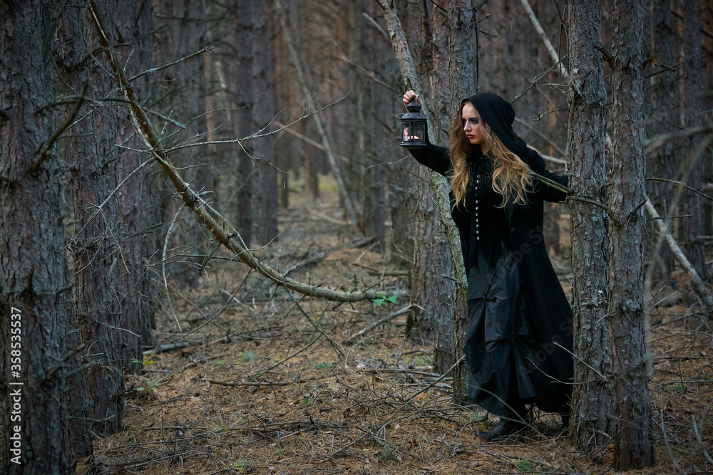 Naklejka premium witch girl with a lantern in a dark pine forest
