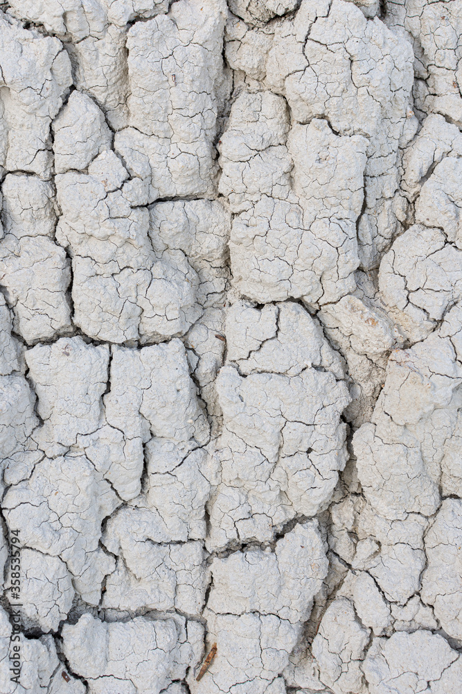 cracked earth texture cracked earth texture