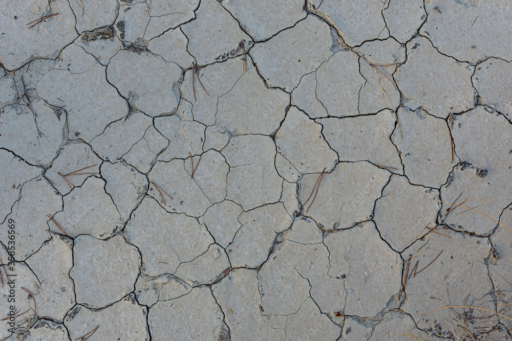 Obraz premium dry cracked earth