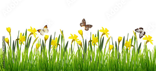 Nature border with fresh gr...